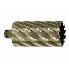 107561 4 hss 55x80 gold