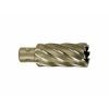 125633 hss 28x40 gold quick in 2