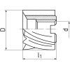 610973.100 | Shell end mill 100x50x32, Z8, 222050, HSSE ,W