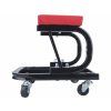 Szék tárolóhellyel, max. teherbírás 120 kg | Extol Premium (8863300)
