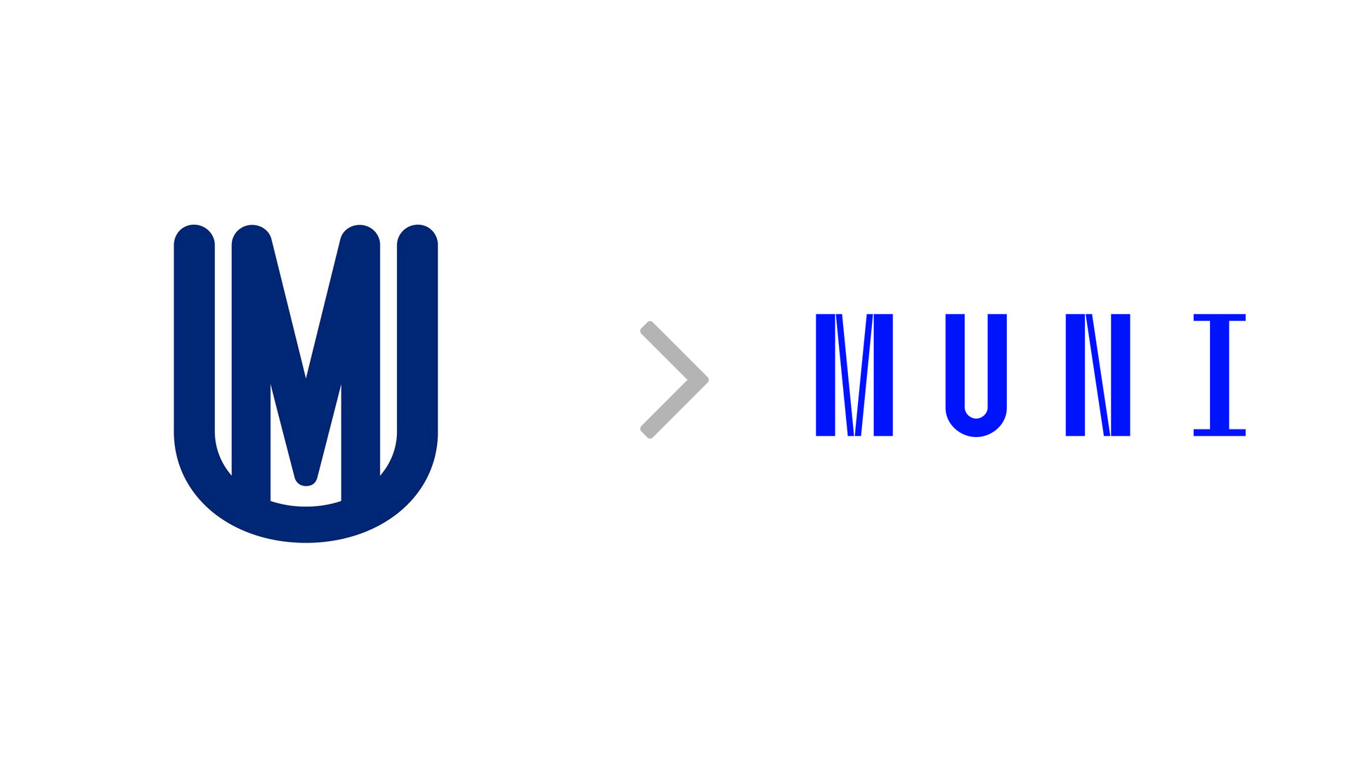 Logo firmy