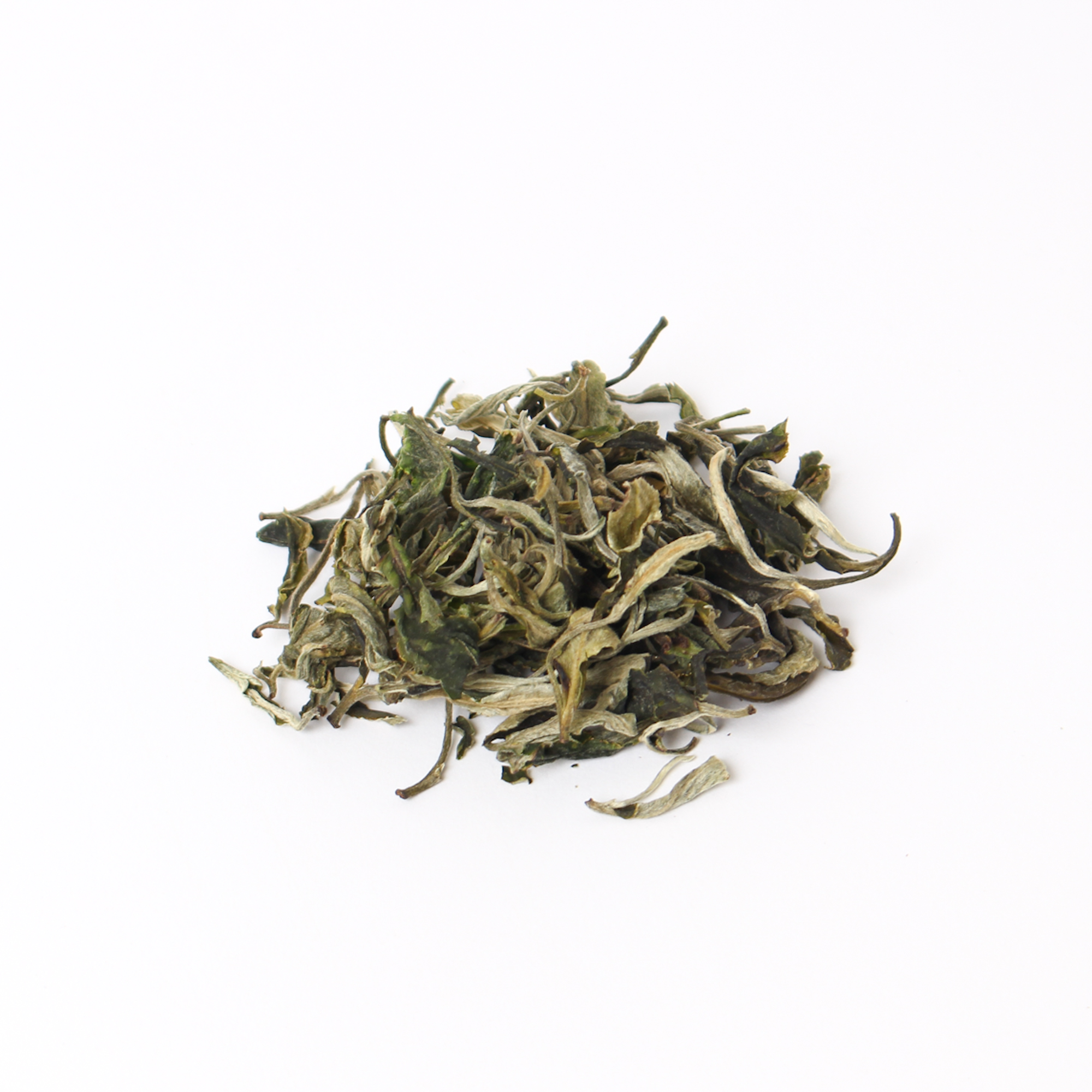White peony čaj elixírem mládí a zdraví?