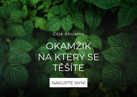 Abuamo hlavní banner mobil