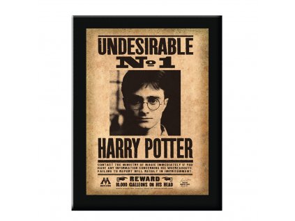 Plakát Harryho Pottera v černém rámu