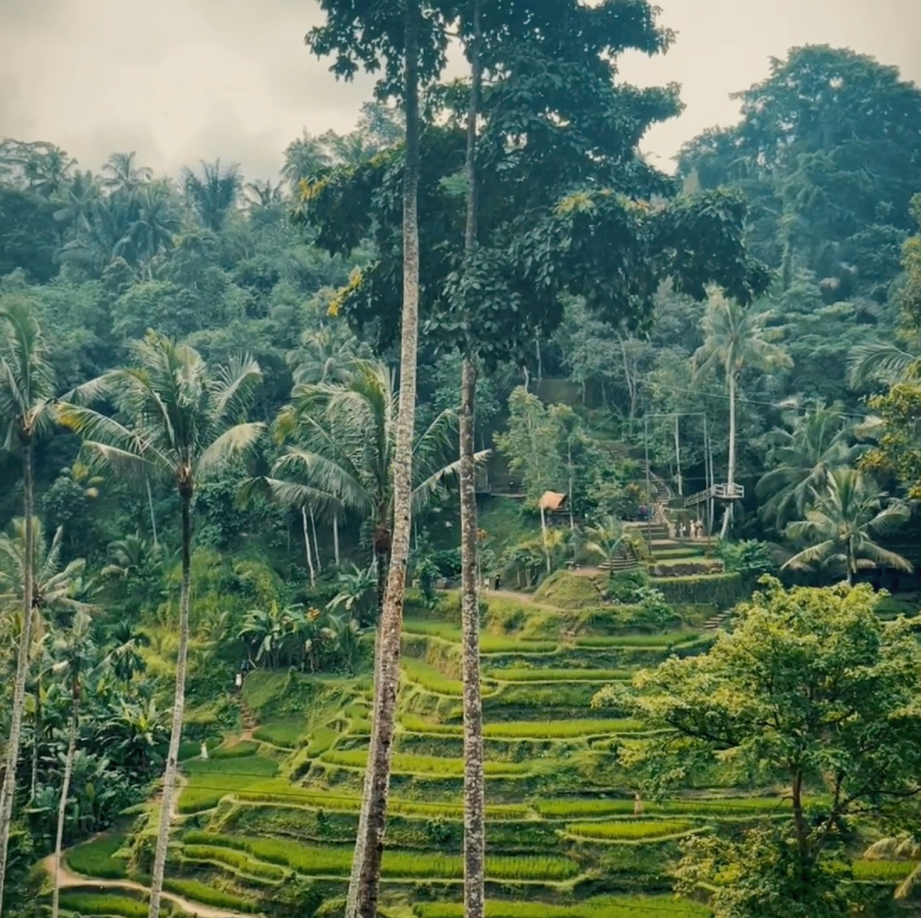 BALI