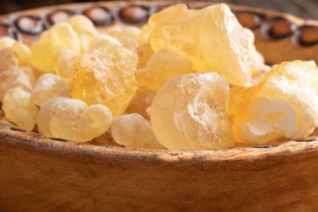 Boswellia thurifera