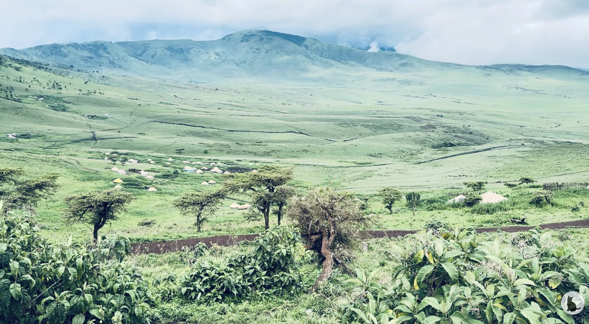 TANZANIE-NGORONGORO