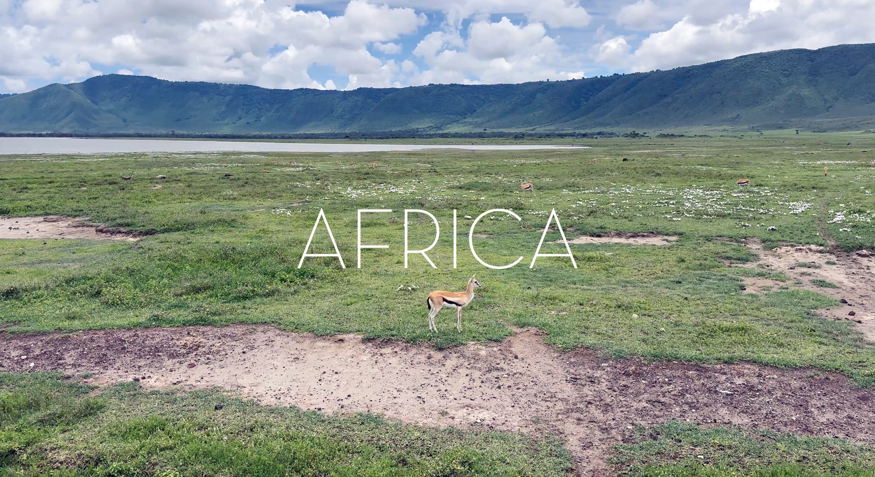 africa4-3
