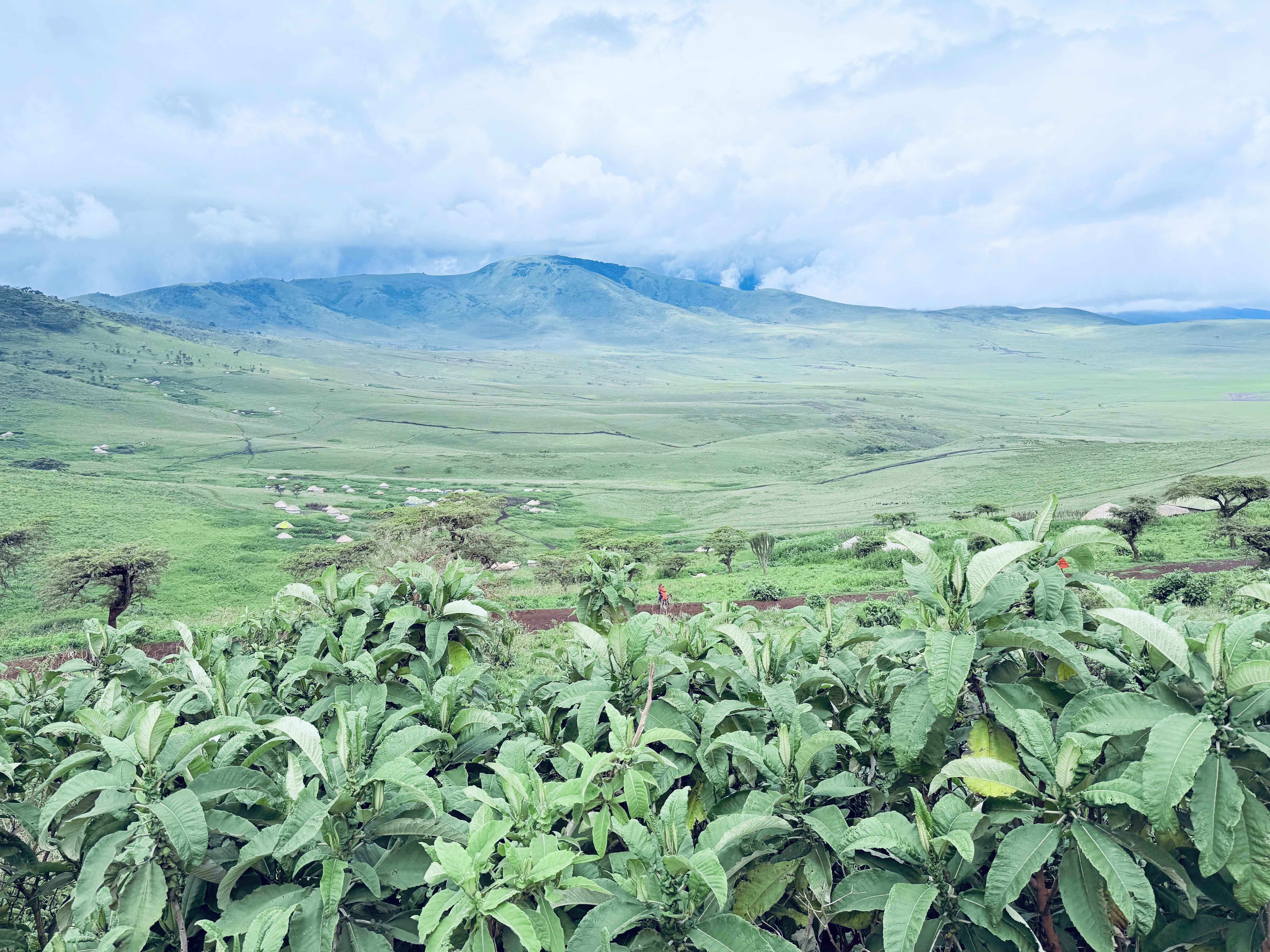 tanzanie