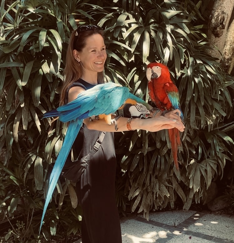 bali-abysinian-sima-na-cestach-dovolena-indonesie