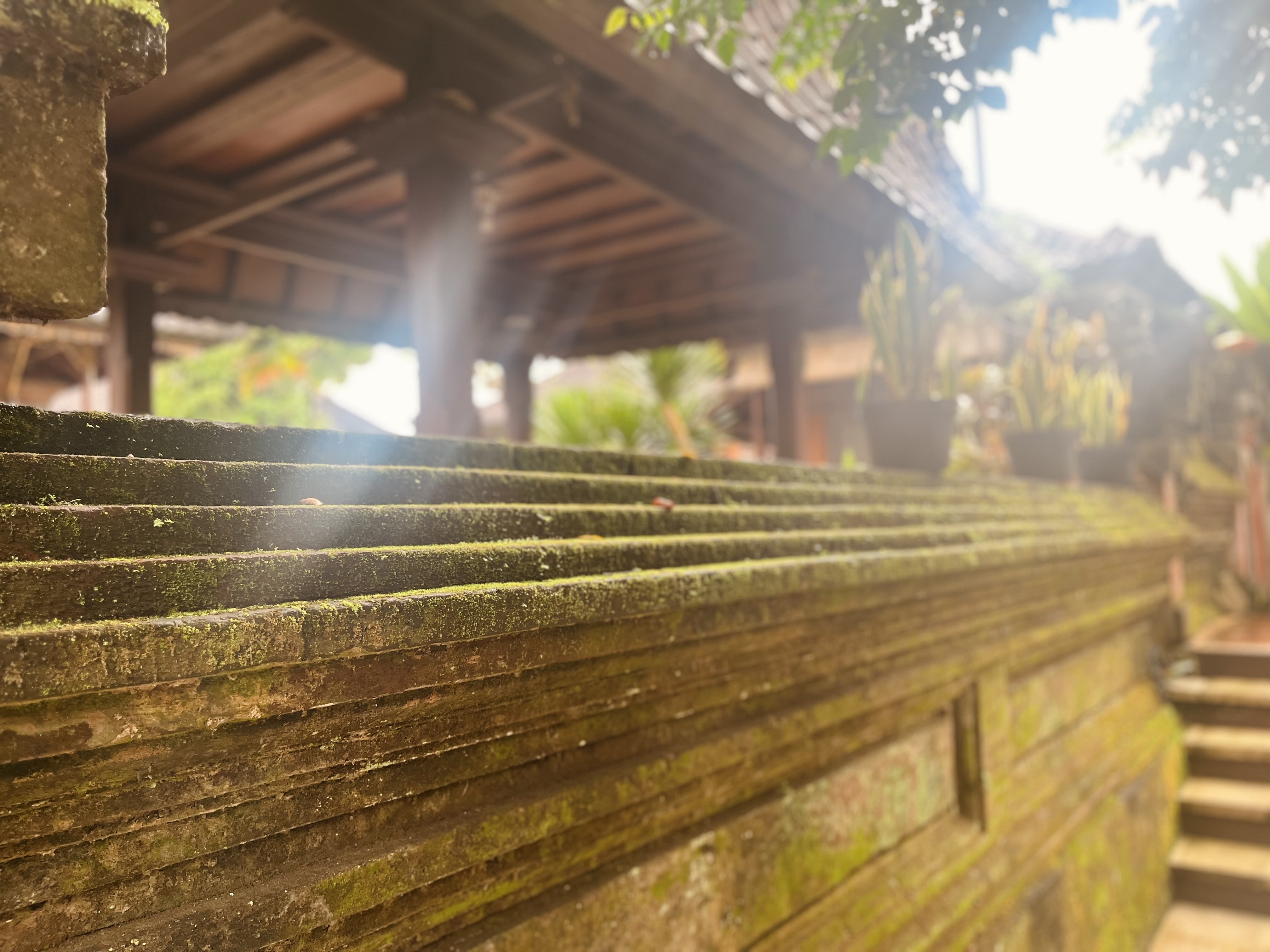 bali-petulu-indonesie-ubytovani