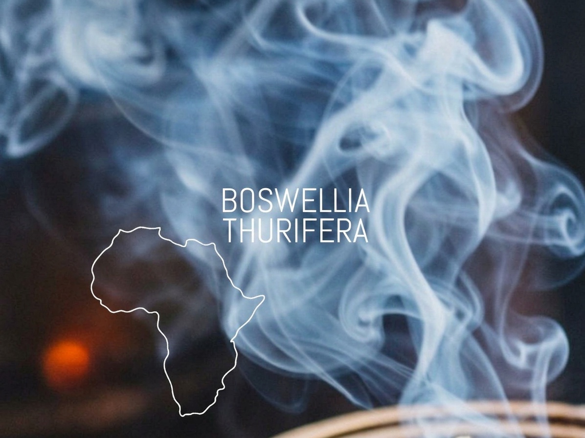 BOSWELLIA