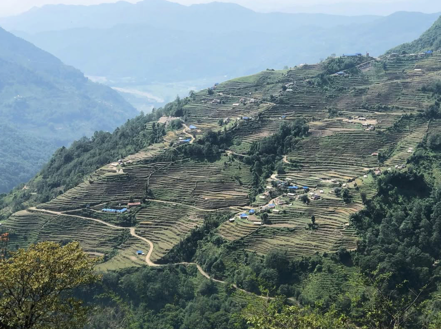 vyhledy-dzungle-nepal