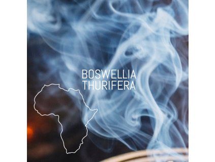 BOSWELLIA3 VYKUROVADLO VONNE TYCINKY