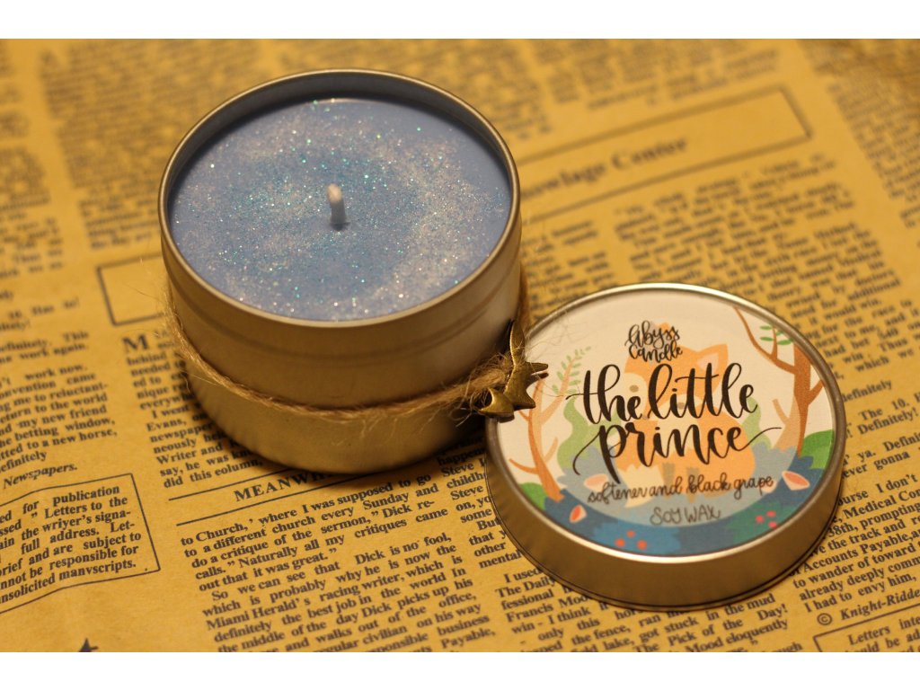 The Little Prince (Malý princ)