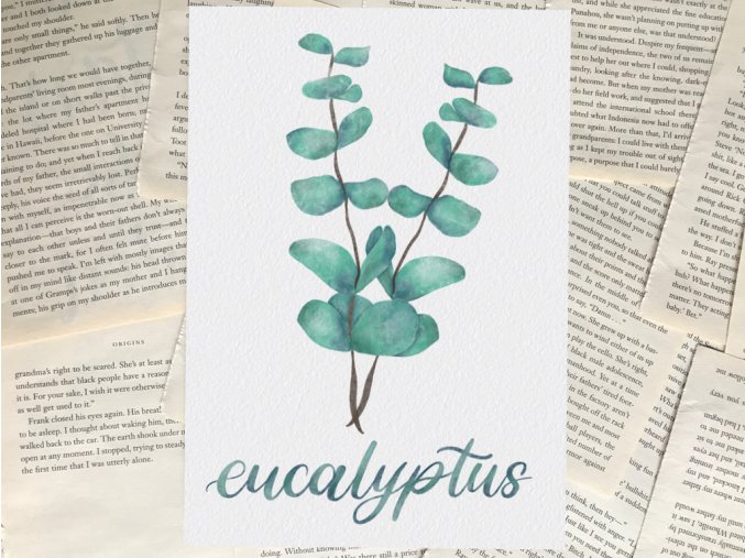 Art print: eukalyptus