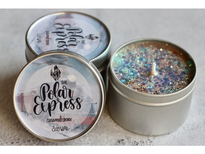 The Polar Express (Polární expres)