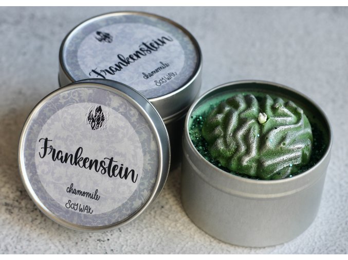Frankenstein  Novodobý Prométheus