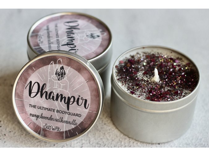 Dhampir "the ultimate bodyguard" (Vampýrská akademie)  Ti nejlepší ochránci mají krev upírů