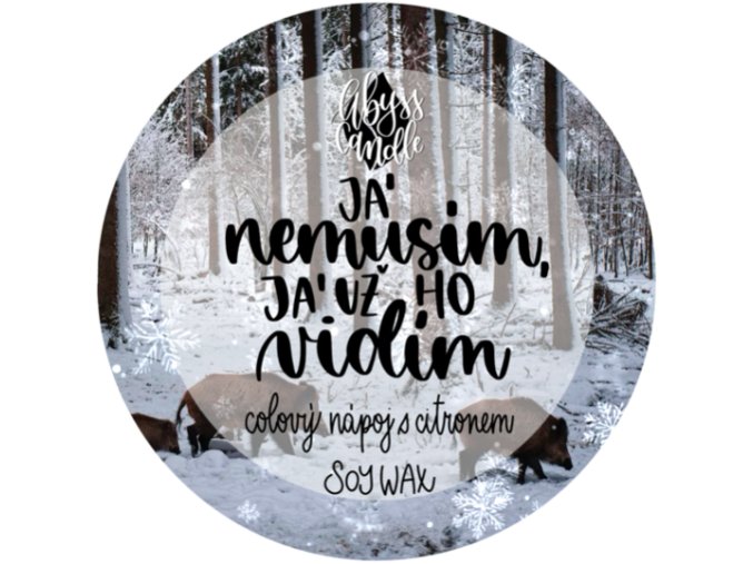 Snímek obrazovky 2026 01 10 v 21.22.59