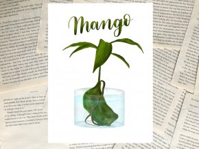 Art print: mango