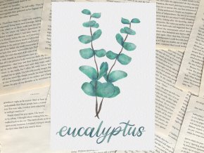 Art print: eukalyptus