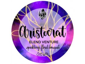 Aristocrat "Elend Ventura"