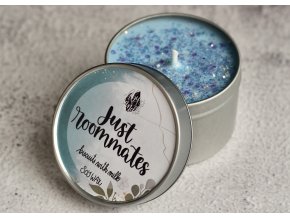 Just roommates (Again)  Na romantickou notu s Mona Kasten