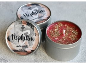 Nephilim  V žilách mají krev andělů