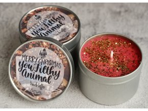 Merry Christmas You Filthy Animal (Sám doma)  Na něco jste zapomněli? Na Kevina!
