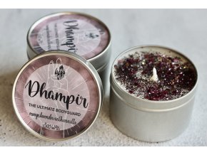 Dhampir "the ultimate bodyguard" (Vampýrská akademie)  Ti nejlepší ochránci mají krev upírů