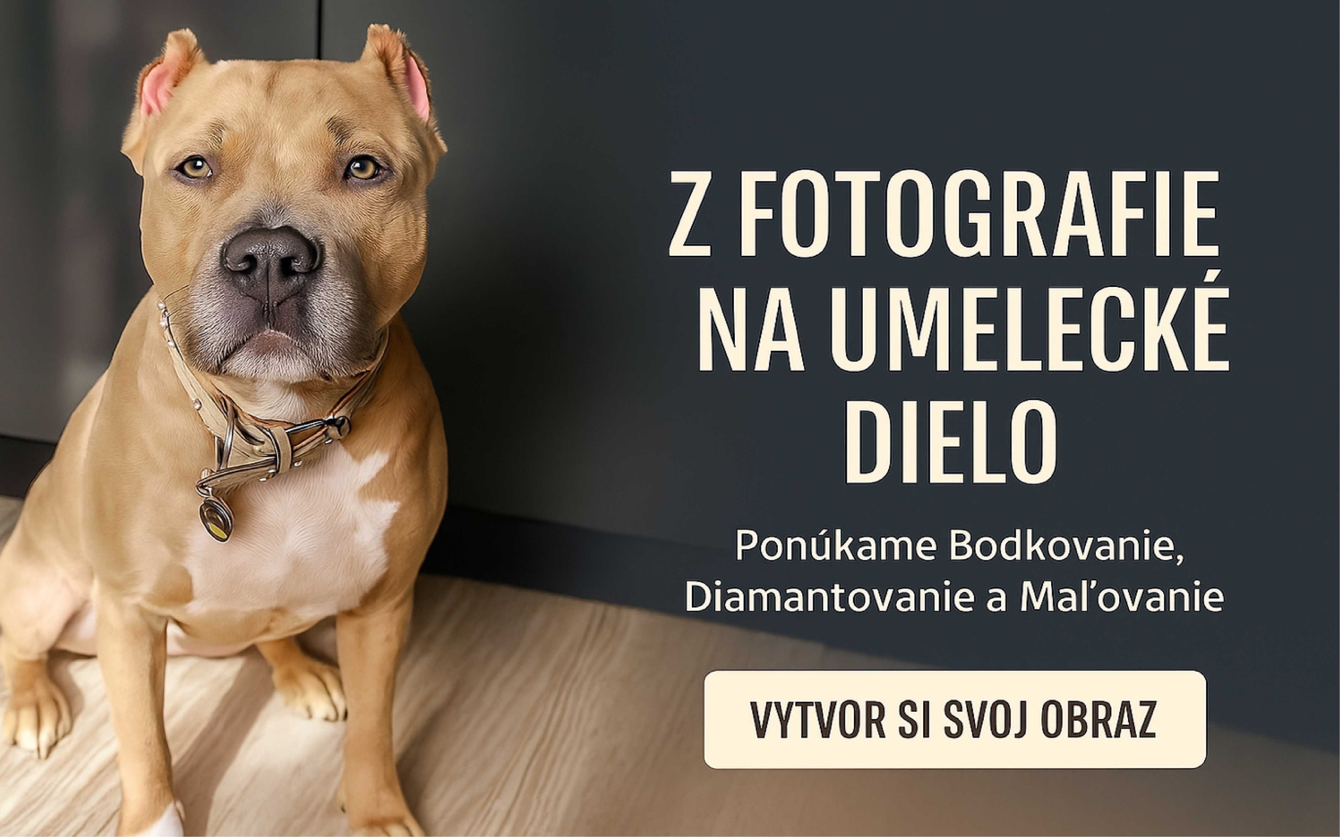 hnedy pes na ciernom pozadi vlastna fotka