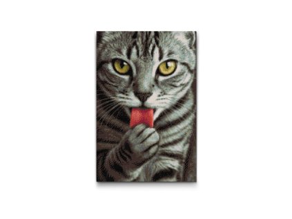 56050 diamond paintings abyu od abyu 0009 m2