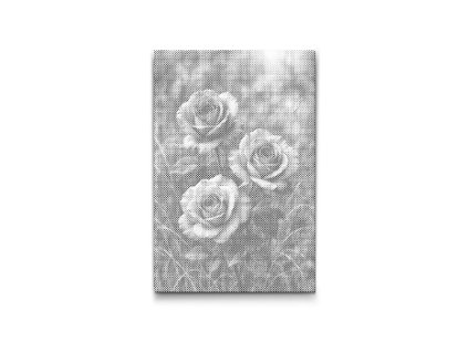 56071 dotting points abyu od abyu 0013 m2