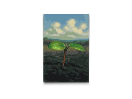 56065 painting by numbers abyu od abyu 0011 m2 (1)