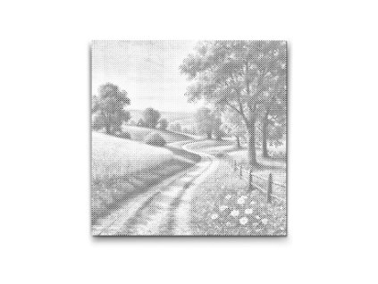 Cesta cez slnečnú lúku Bodkovanie s ramom