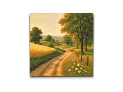 Cesta cez slnečnú lúku Diamantove malovanie s ramom