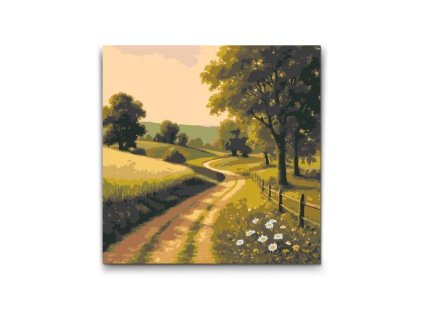 Cesta cez slnečnú lúku malovanie podla cisel s ramom