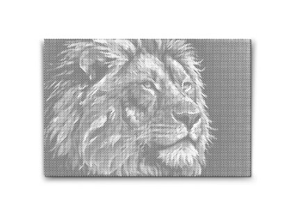 57610 dotting points abyu od abyu 0023 m2