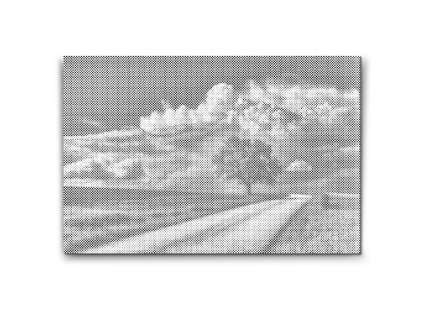 57565 dotting points abyu od abyu 0018 m2