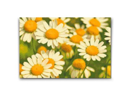 57580 diamond paintings abyu od abyu 0020 m2