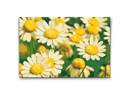 57586 painting by numbers abyu od abyu 0020 m2