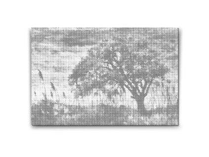 57619 dotting points abyu od abyu 0024 m2