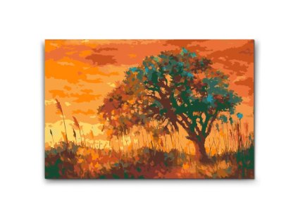 57622 painting by numbers abyu od abyu 0024 m2