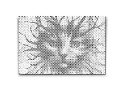 Mačka s modrými očami