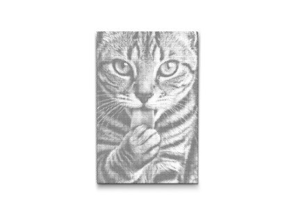 56053 dotting points abyu od abyu 0009 m2