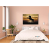 59558 2 diamond paintings abyu od abyu 0066 m3