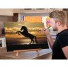 59558 1 diamond paintings abyu od abyu 0066 m9