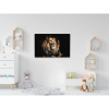 59672 2 diamond paintings abyu od abyu 0080 m3