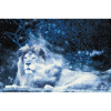 59720 3 diamond paintings abyu od abyu 0088 m11